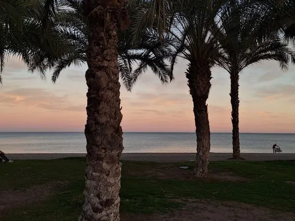 Piso en calle Guadalete, 6