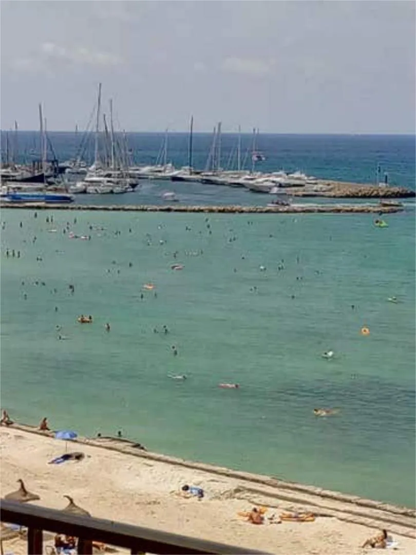 Piso en Playa de Palma - Arenal - Foto 7