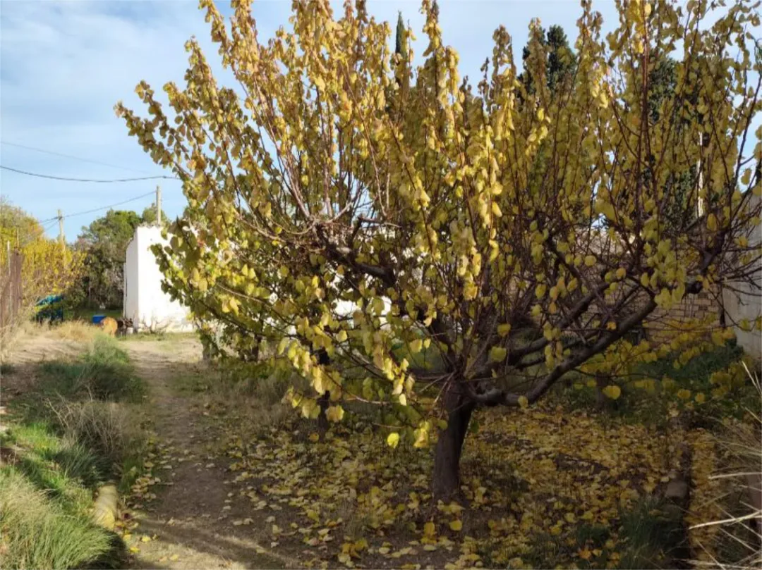 Chalet en  Camino de Cascajales 23 - Foto 22