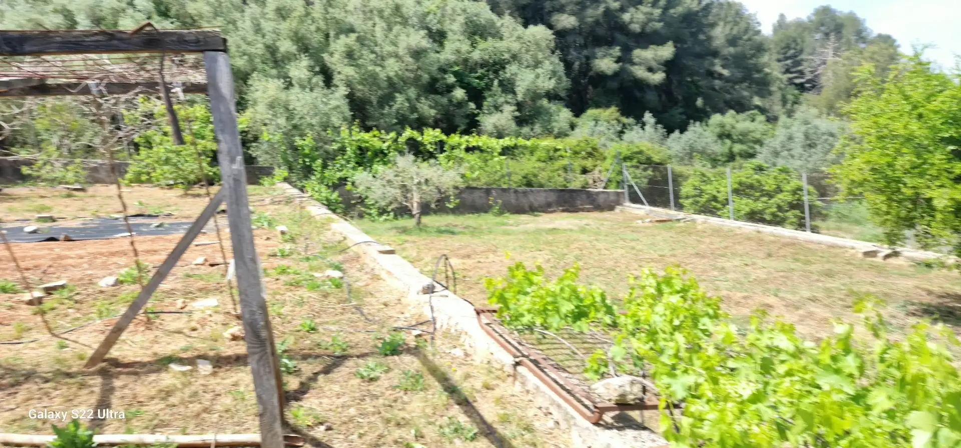 Finca rústica en  Barri Pla de Corrals 258 - Foto 30
