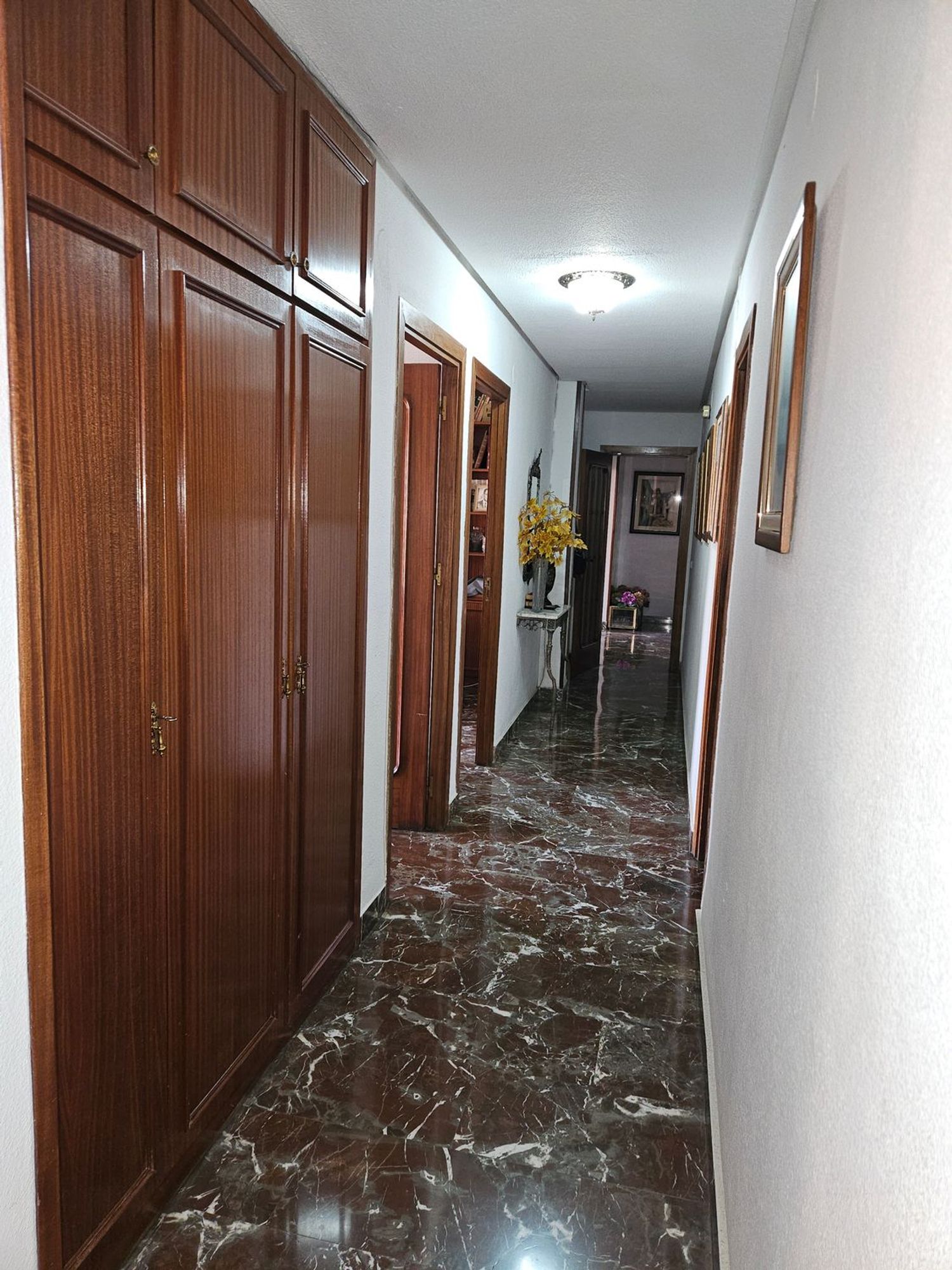 Piso en Calle Trajano, 3, Jardín Botánico - Foto 9