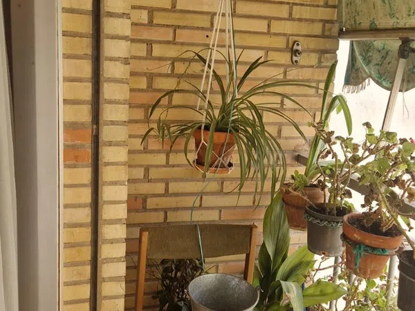 Piso en Calle Tórtola, 27, Los Pajaritos - Foto 14