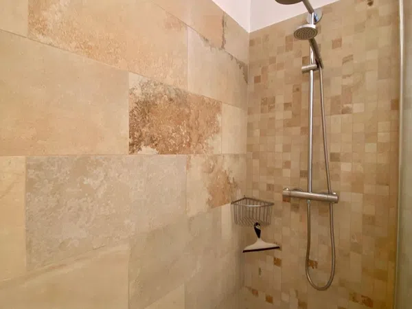 Estudio en Calle Océano Índico, 13 Calleocanondigo, Bajamar-Punta del Hidalgo, Bajamar-Punta del Hidalgo - Foto 2