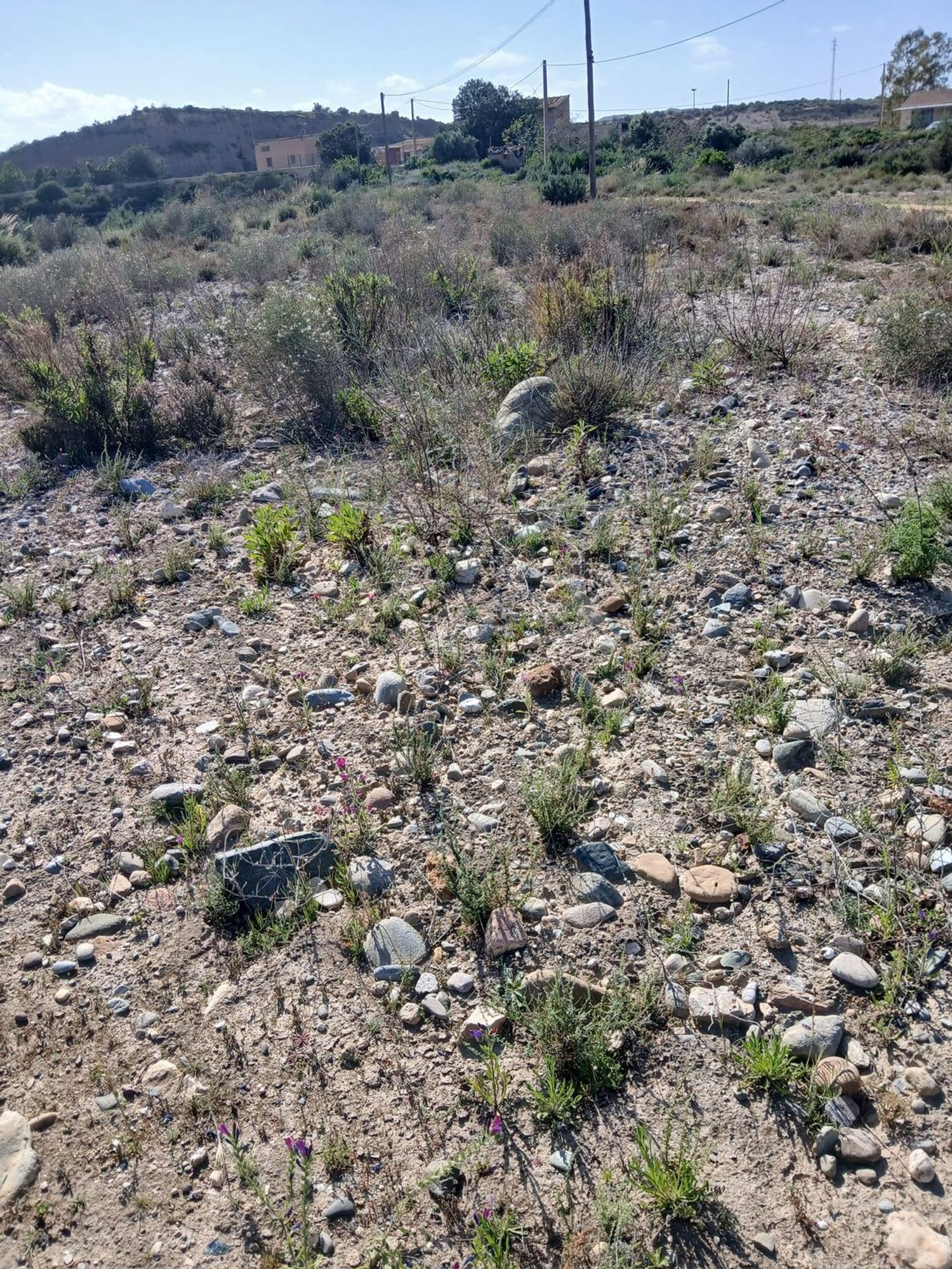 Cortijo en Barriada las Cunas s/n - Foto 8