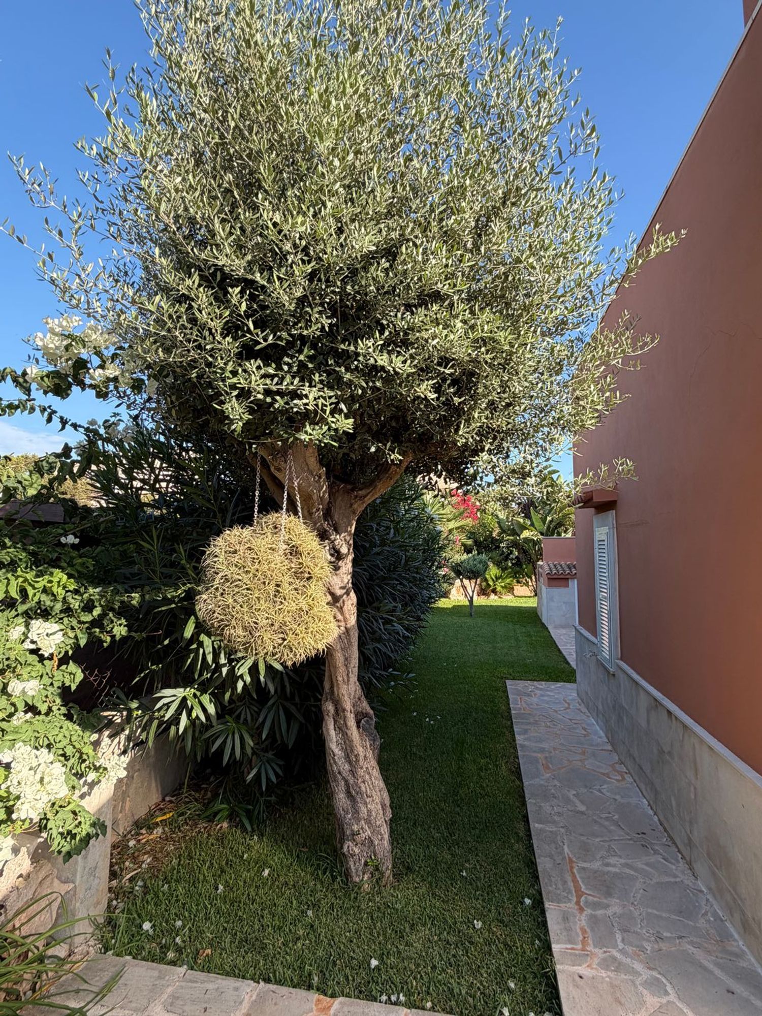 Casa o chalet independiente en Calle des Ferrallo M, 25, Cala Figuera, Cala Figuera - Foto 30