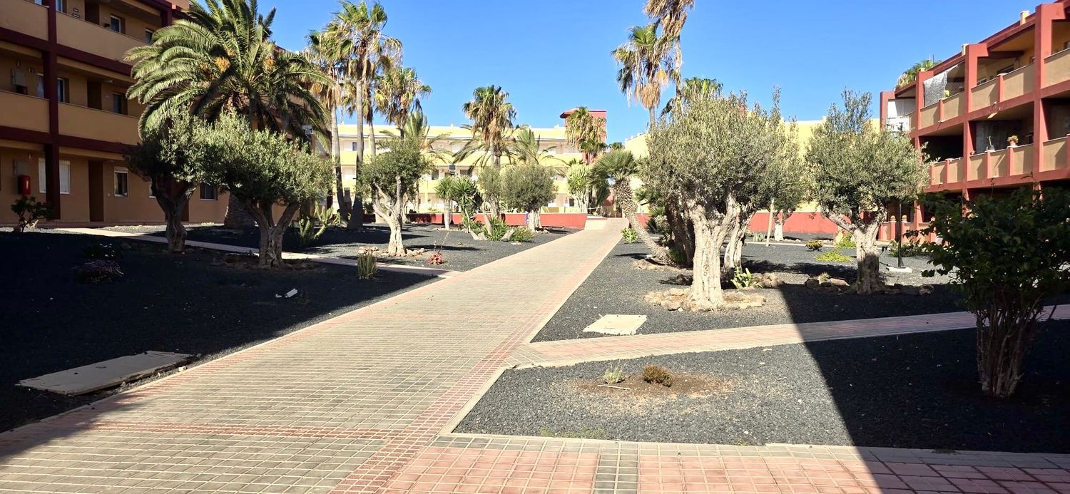 Piso en Calle los Pedruscos, 1, Parque Holandés, Parque Holandés - Foto 18