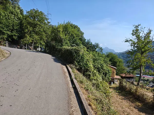 Casa o chalet independiente en Carretera de Sayeo s/n - Foto 24