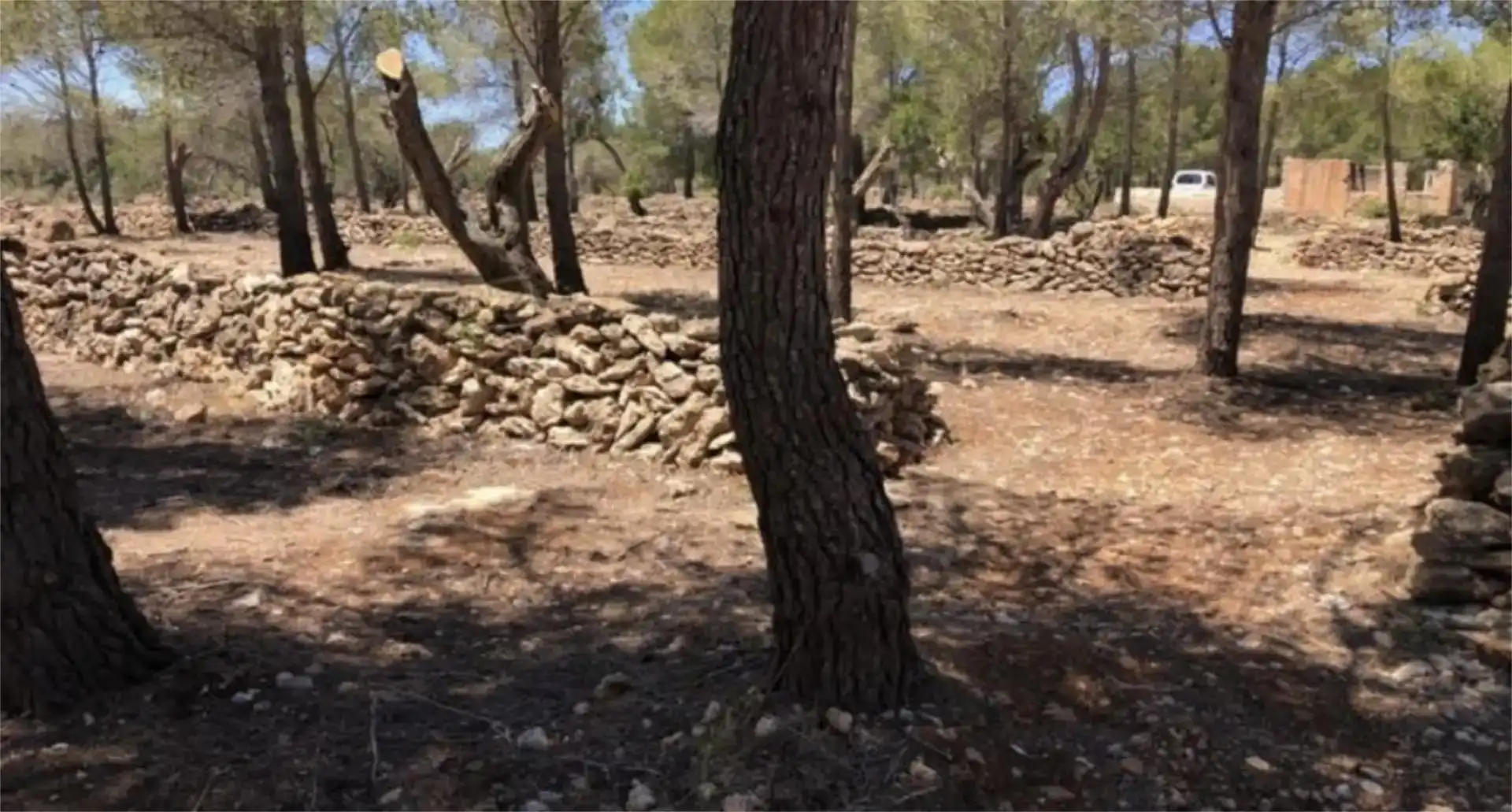 Finca rústica en  Passeig de I'Almadrava 13 - Foto 13