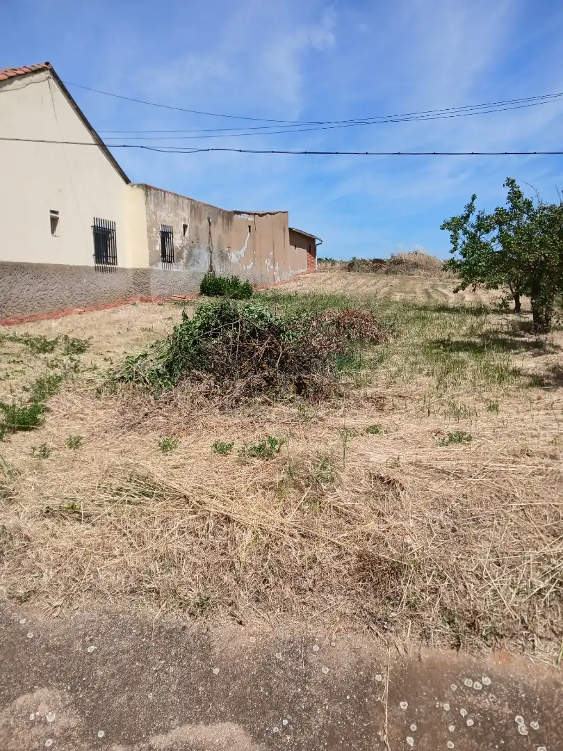 Planta baja en  Carretera de León - Astorga 340 - Foto 3