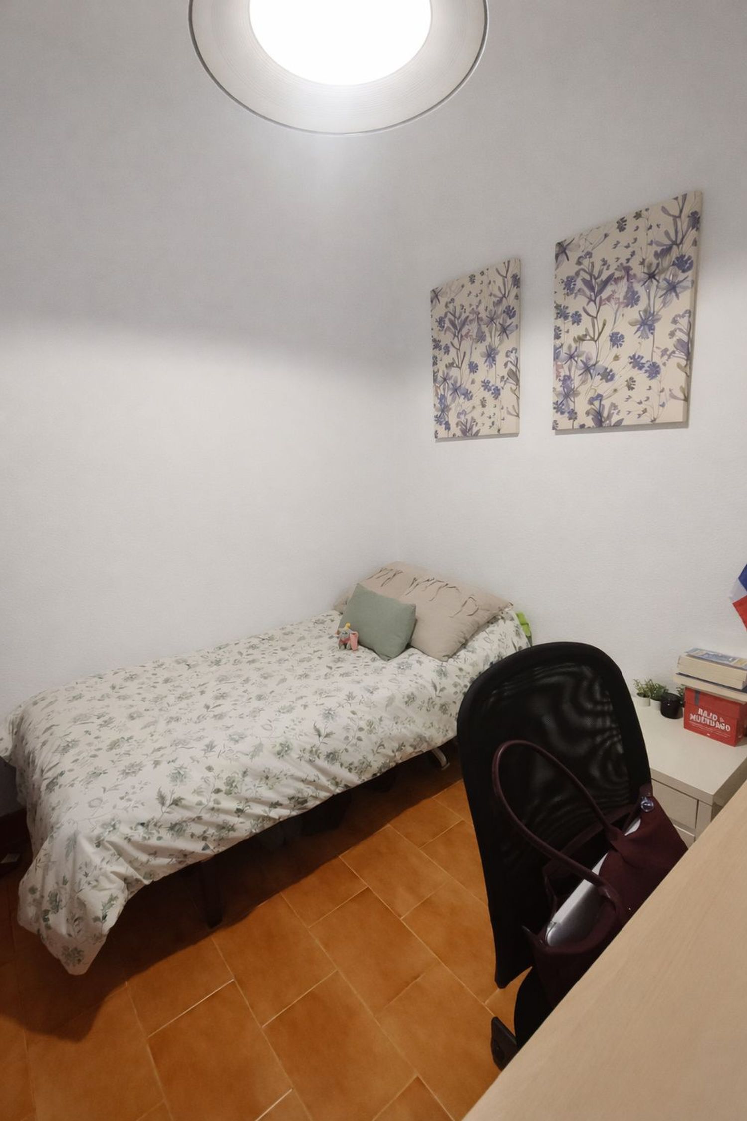 Piso en calle de Benito Gutiérrez, 37 - Foto 17