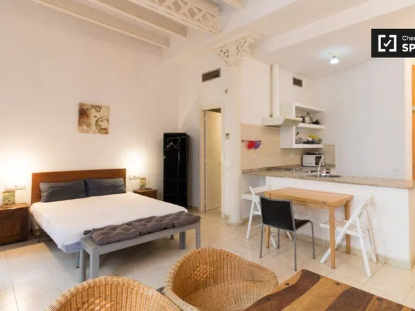 Estudio en Rambla La, El Raval - Foto 12