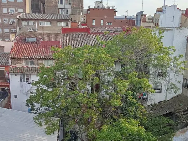 Ático en Avenida de César Augusto, 94 - Foto 25