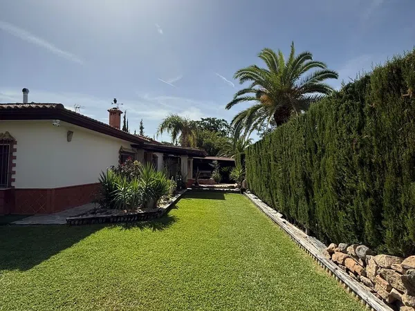 Casa o chalet independiente en Calle del Pino Sol, 169 - Foto 3