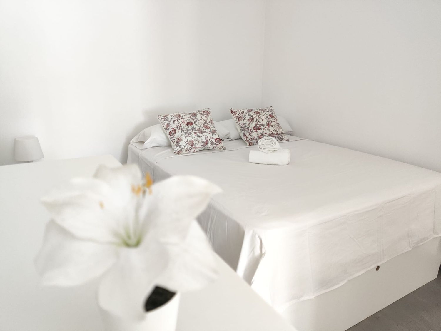 Piso en paseo del Pan Triste, 12 - Foto 4