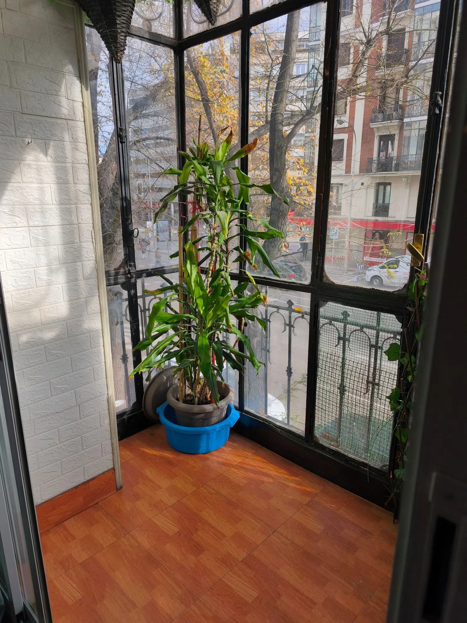 Piso en Barrio Arapiles - Foto 7