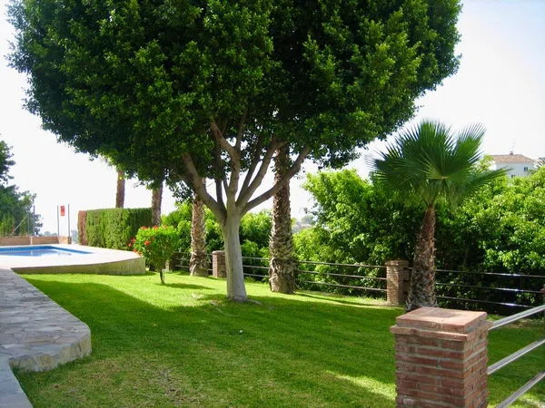 Casa o chalet independiente en Carretera Frigiliana s/n, Centro, Centro - Foto 5