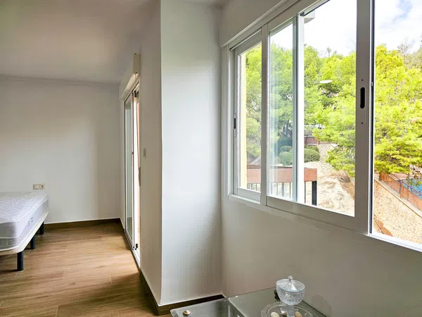 Estudio en calle Pintor Murillo, 57 - Foto 5