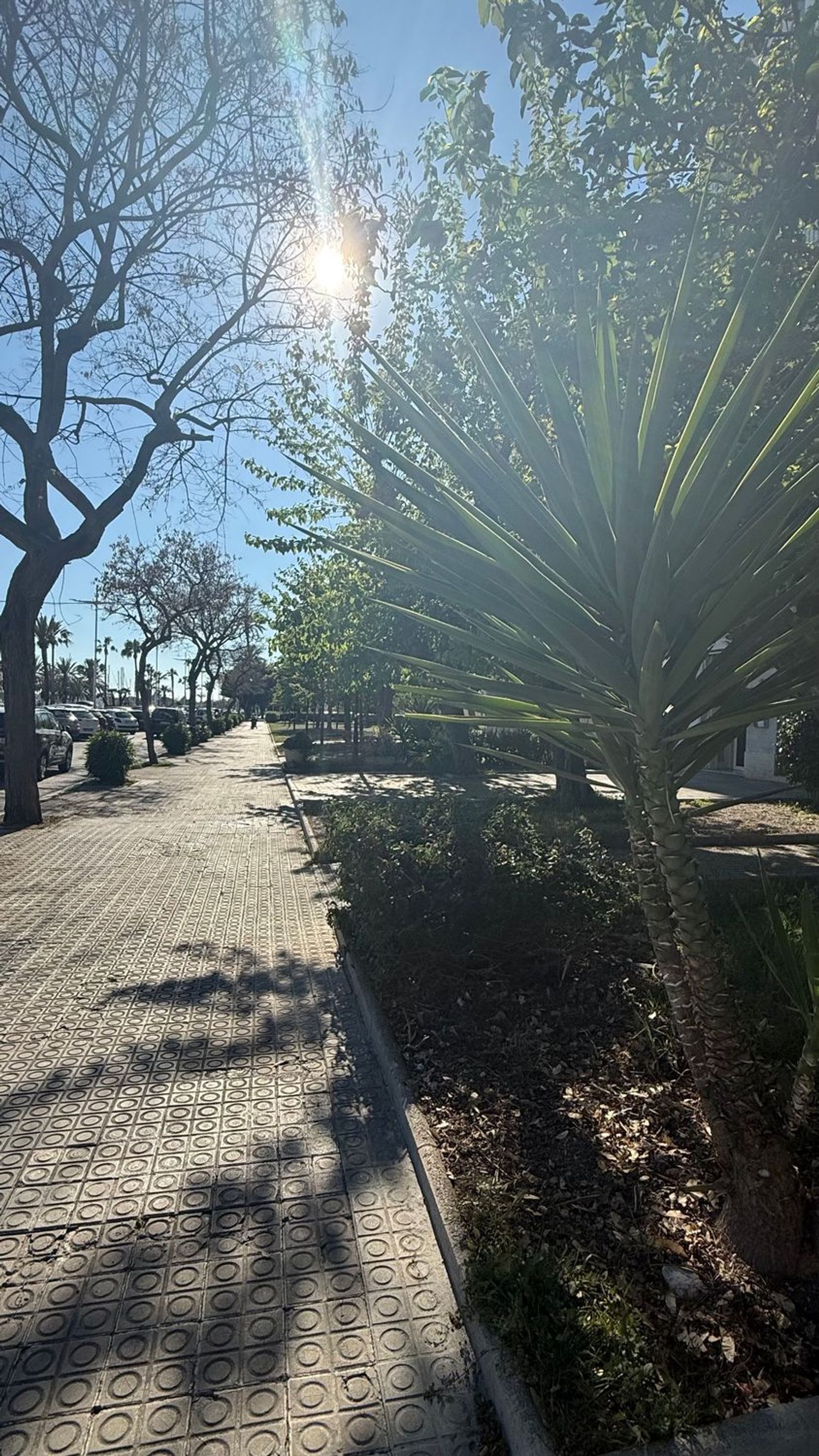 Piso en Paseo Marítim, 92 - Foto 11