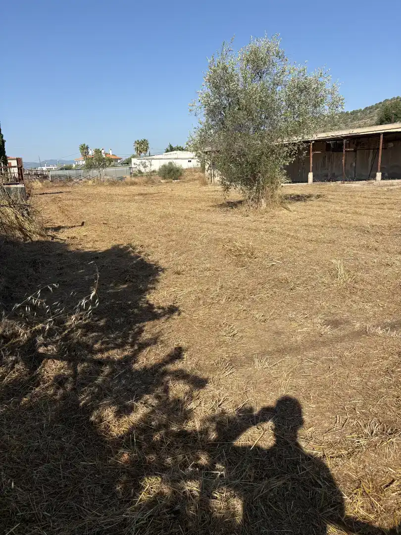 Finca rústica en  Calle Arzobispo Gasch 10 - Foto 15