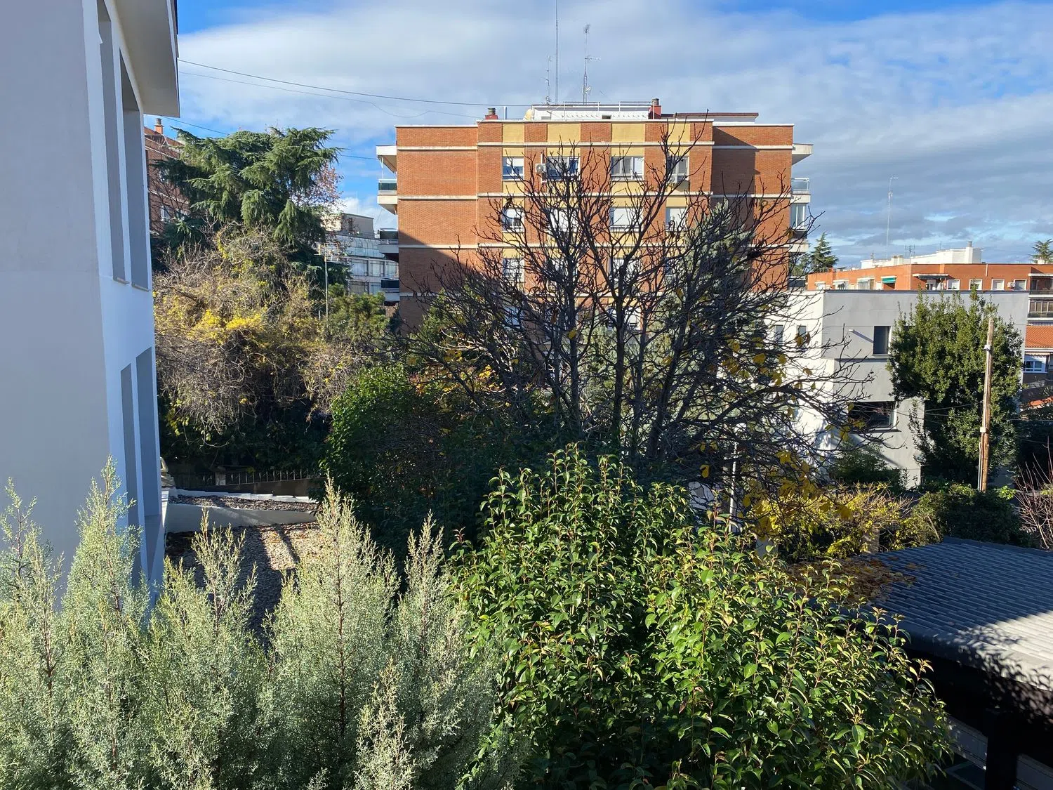 Estudio en calle ramón crespo, 29 - Foto 24