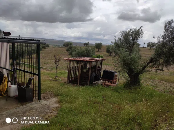 Finca rústica en camino de los Coches s/n - Foto 18
