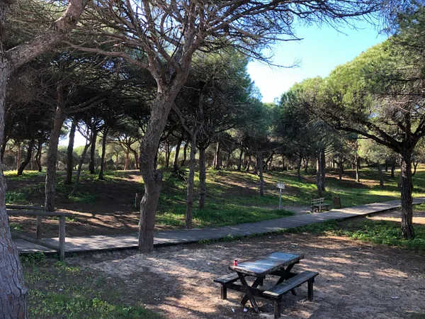 Piso en Avenida de Los Corrales, 1, Bahia Luz - La Forestal, Bahia Luz - La Forestal - Foto 31