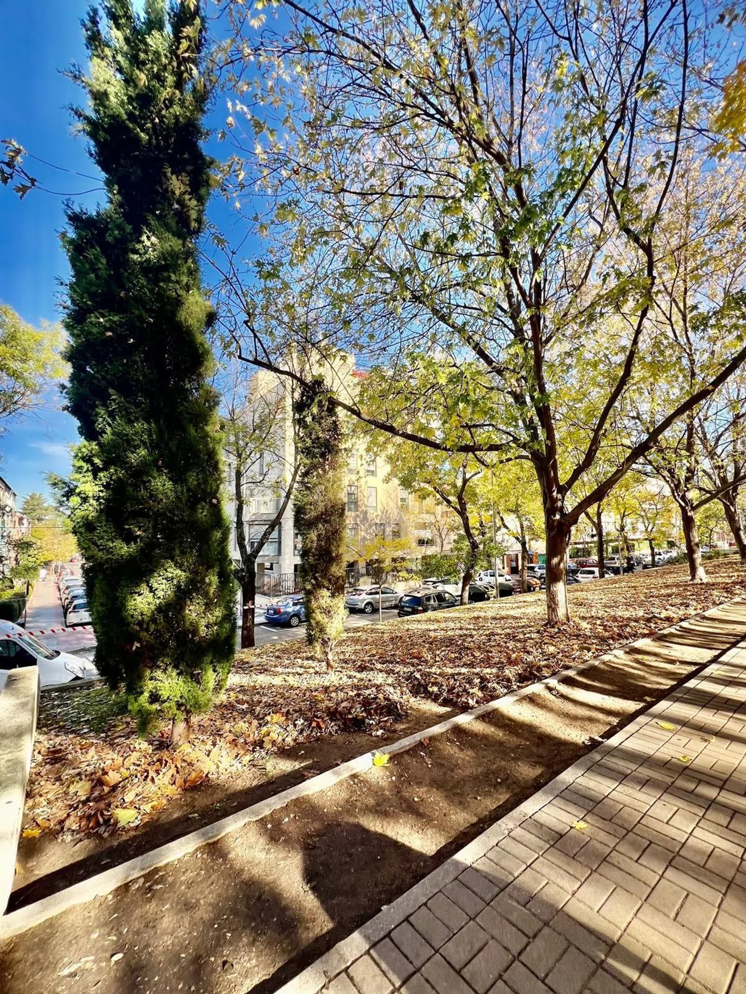 Piso en calle del Diario la Nación, 19 - Foto 31