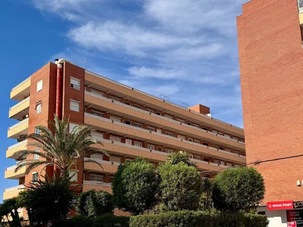 Piso en Calle Rocio, 1, Punta Prima, Punta Prima - Foto 1
