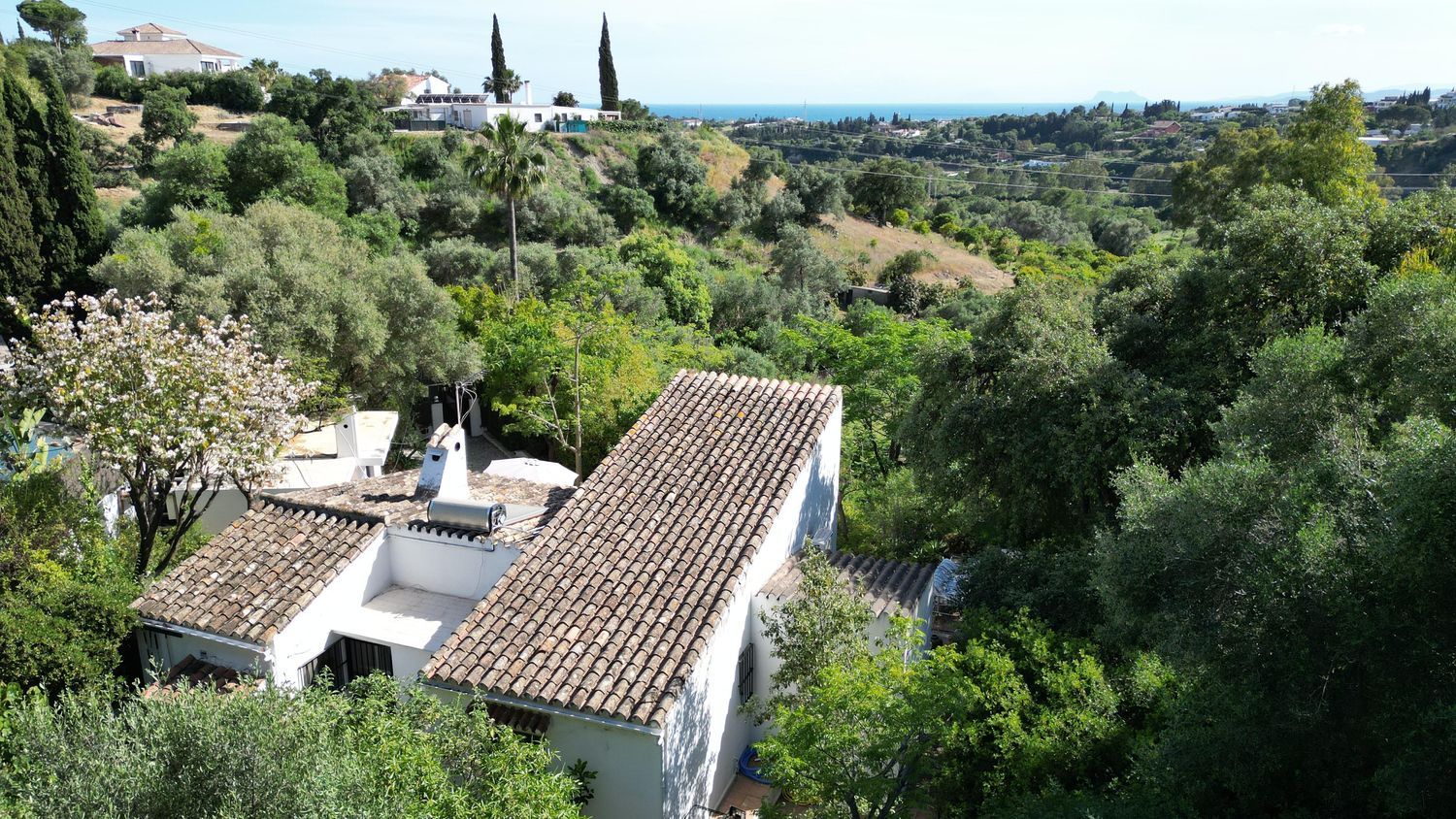 Casa o chalet independiente en Calle de la Palmera, 6, Las Lomas - Foto 40