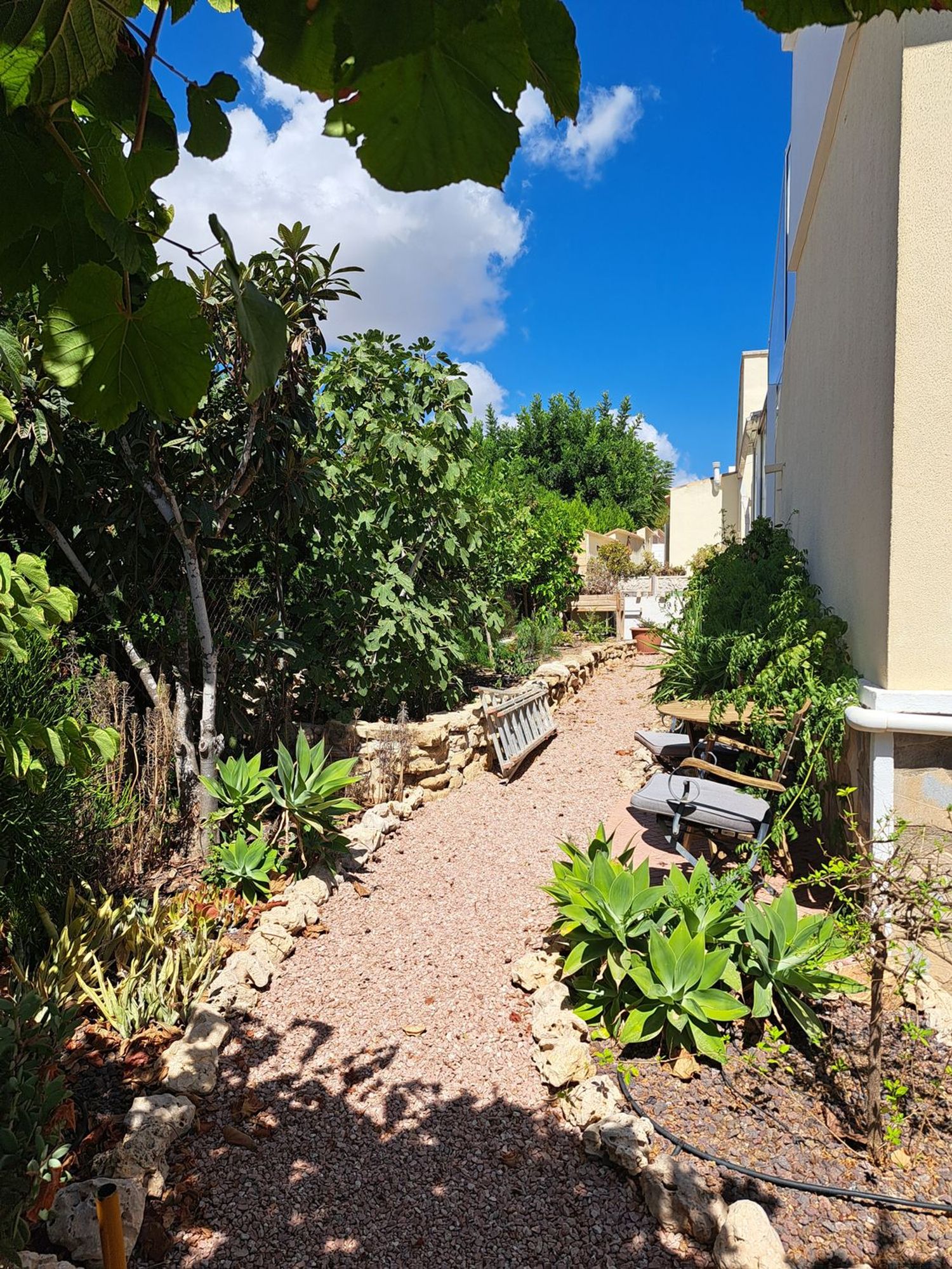 Casa o chalet independiente en Calle Isla Menorca Número 2, 30, La Fiesta - Foto 30
