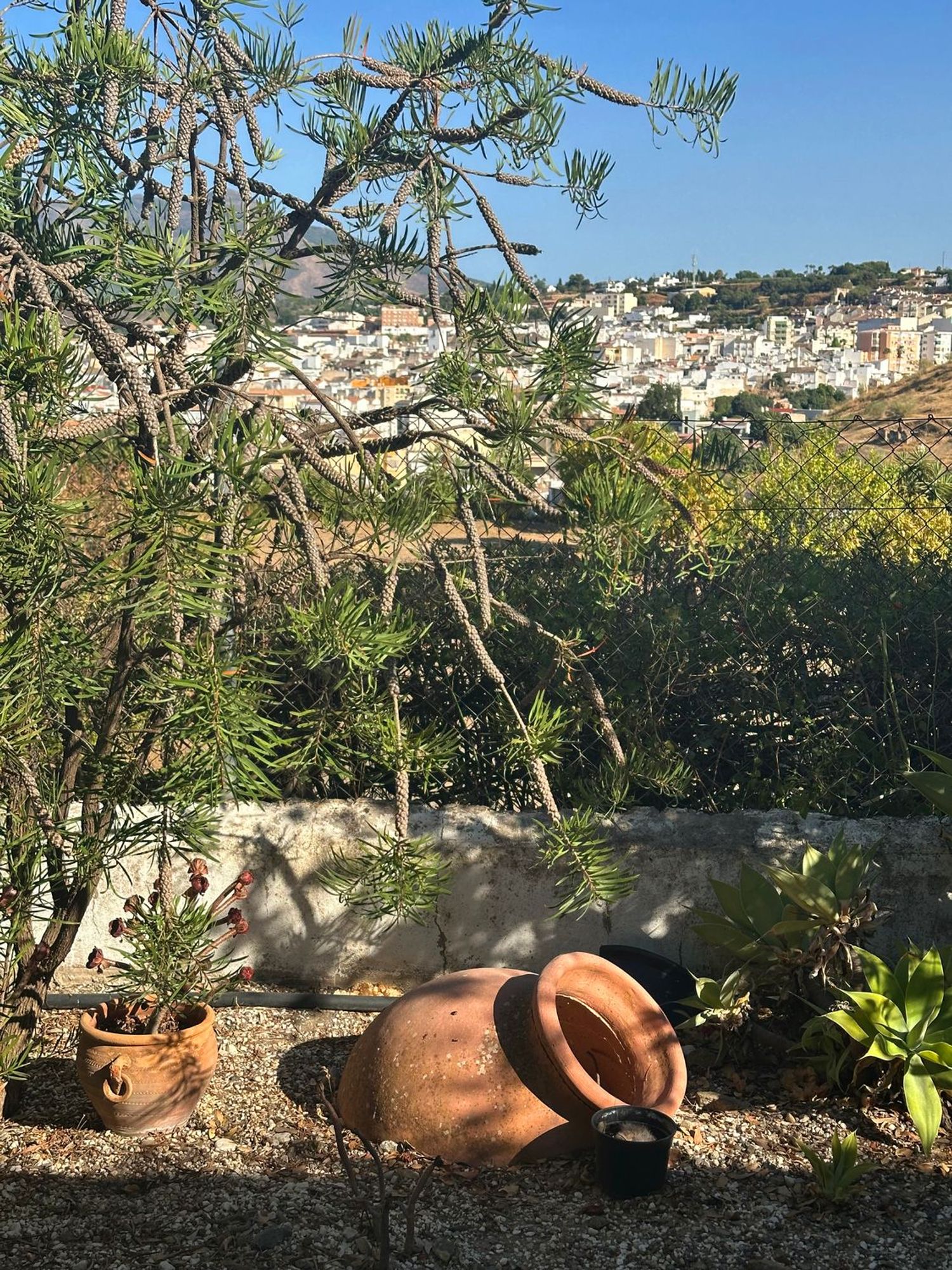 Finca rústica en San Anton, 110 - Foto 29