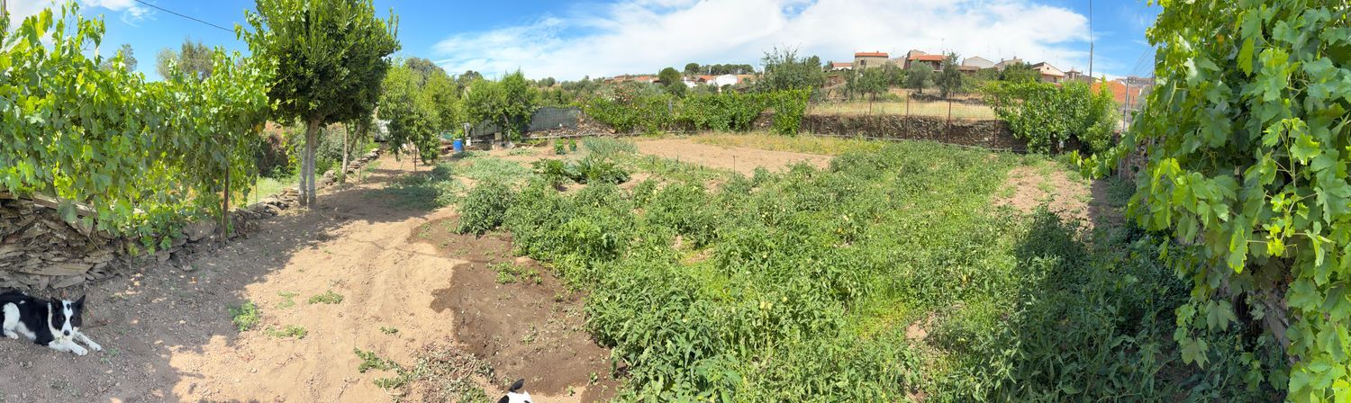 Casa de pueblo en Calle Padre Juanjo, 2 - Foto 31