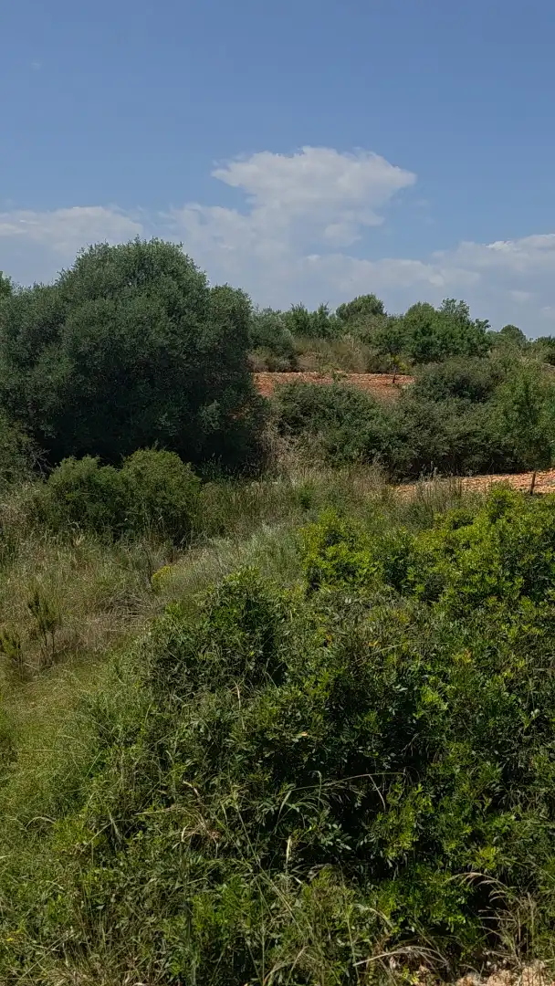 Finca rústica en  Masia els Michans 1 - Foto 2
