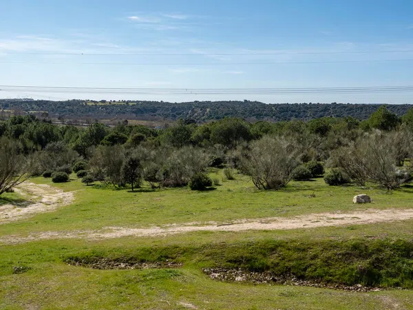 Piso en calle Salvia, 7 - Foto 3