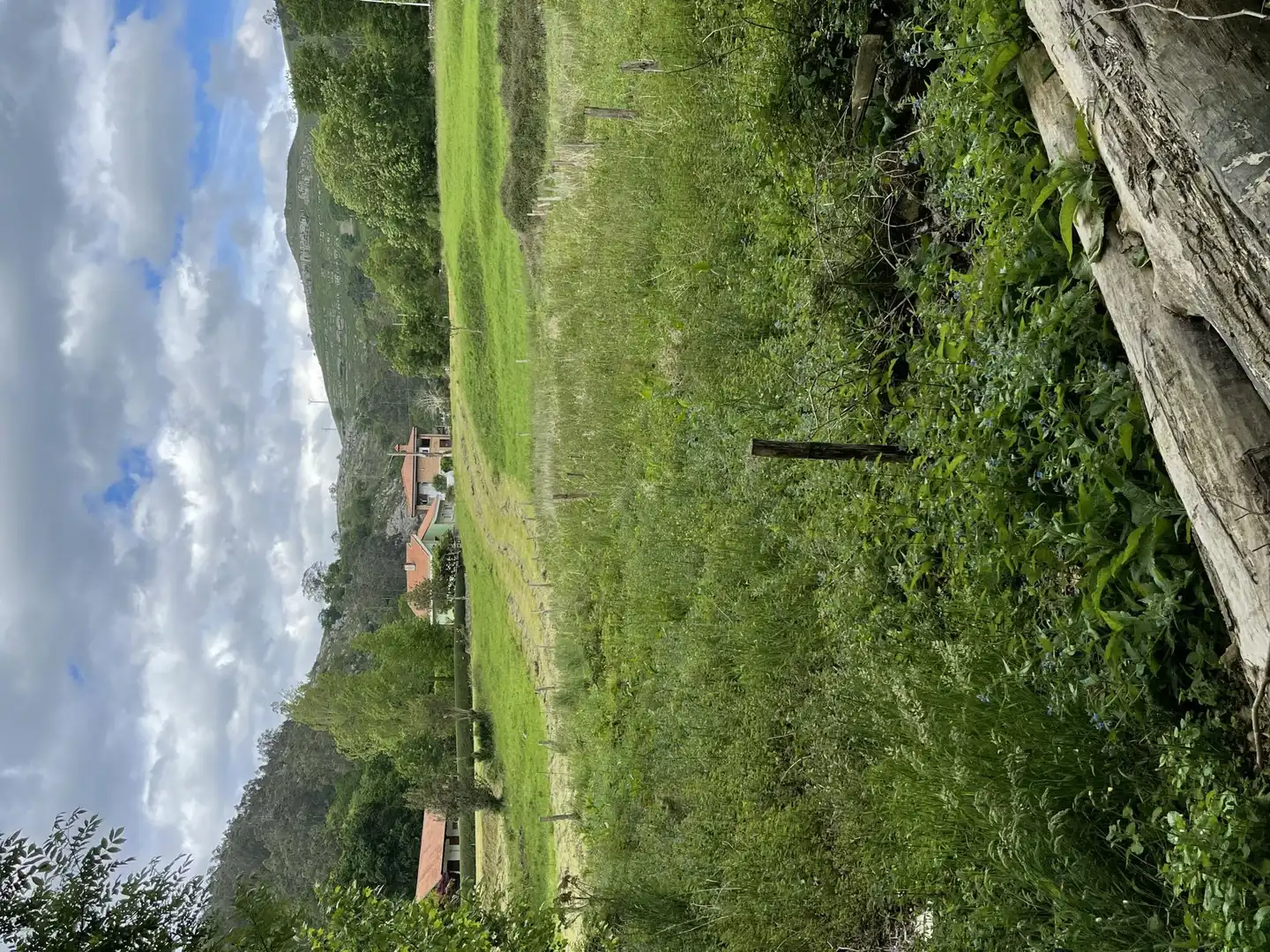 Terreno Residencial en  Barrio Revilla 17 - Foto 4