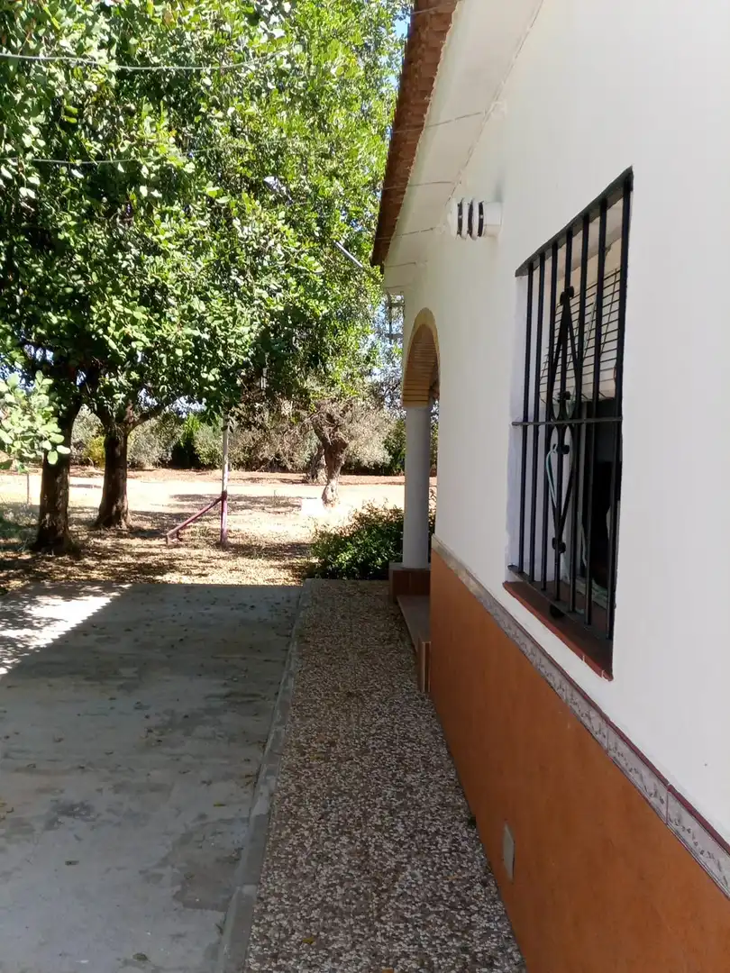 Finca rústica en  Calle Francisco Palacio Ortega 1 - Foto 26