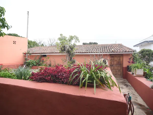 Casa terrera en Calle la Caridad, 1, Tacoronte - Los Naranjeros, Tacoronte - Los Naranjeros - Foto 19