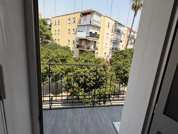 Piso en Plaza Sella s/n, El Juncal - El Plantinar - Foto 4