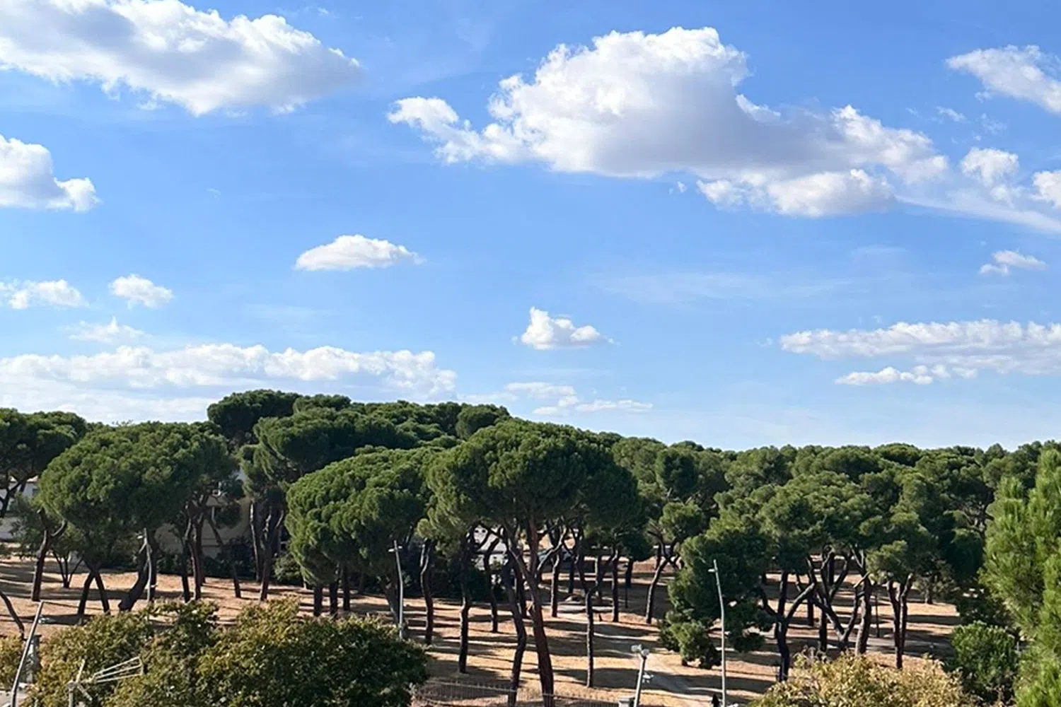 Ático en avenida de Portugal, 39 - Foto 31