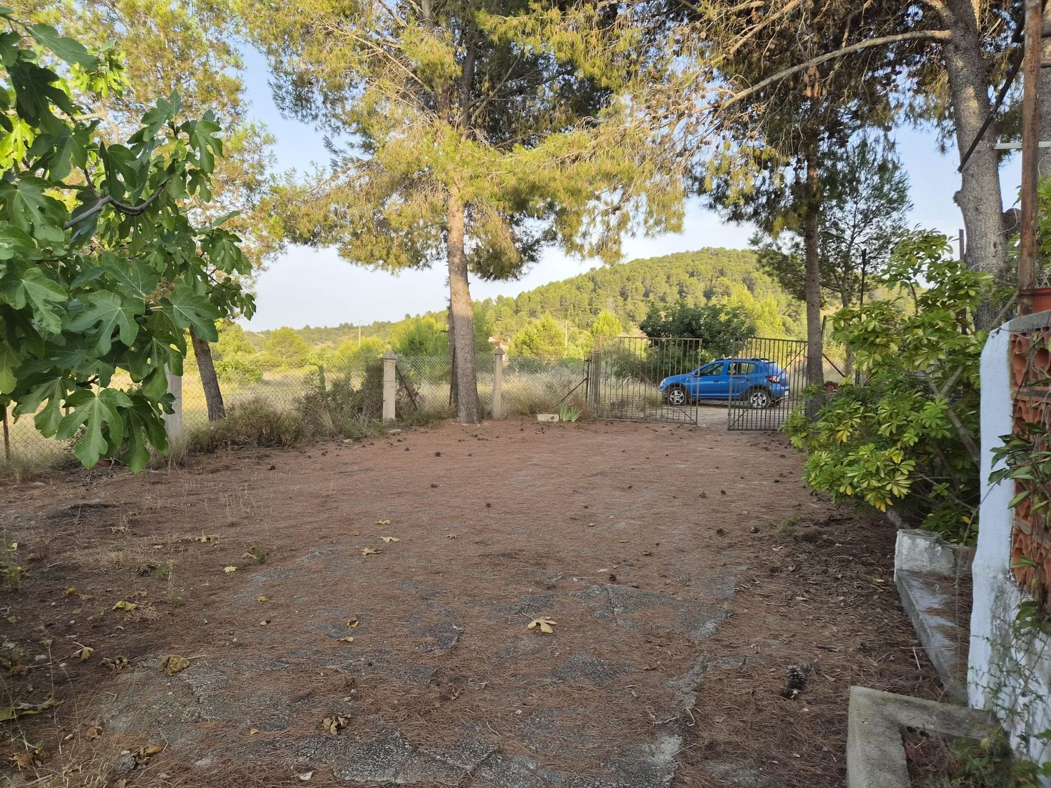 Finca rústica en Plaza Numero 3, 148, Las Pedrizas, Las Pedrizas - Foto 6