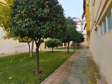 Apartamento en Centro - Foto 8
