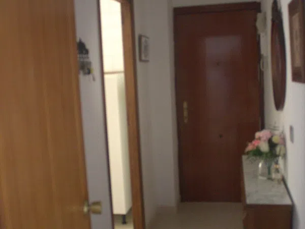 Piso en pino montano s/n - Foto 3