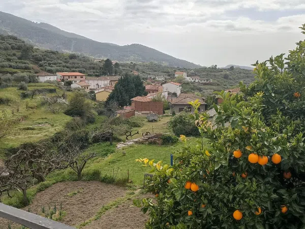 Casa de pueblo en Calle de la Zahurdilla, 9 - Foto 3