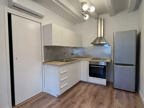 Estudio en calle d'En Mònec, 3