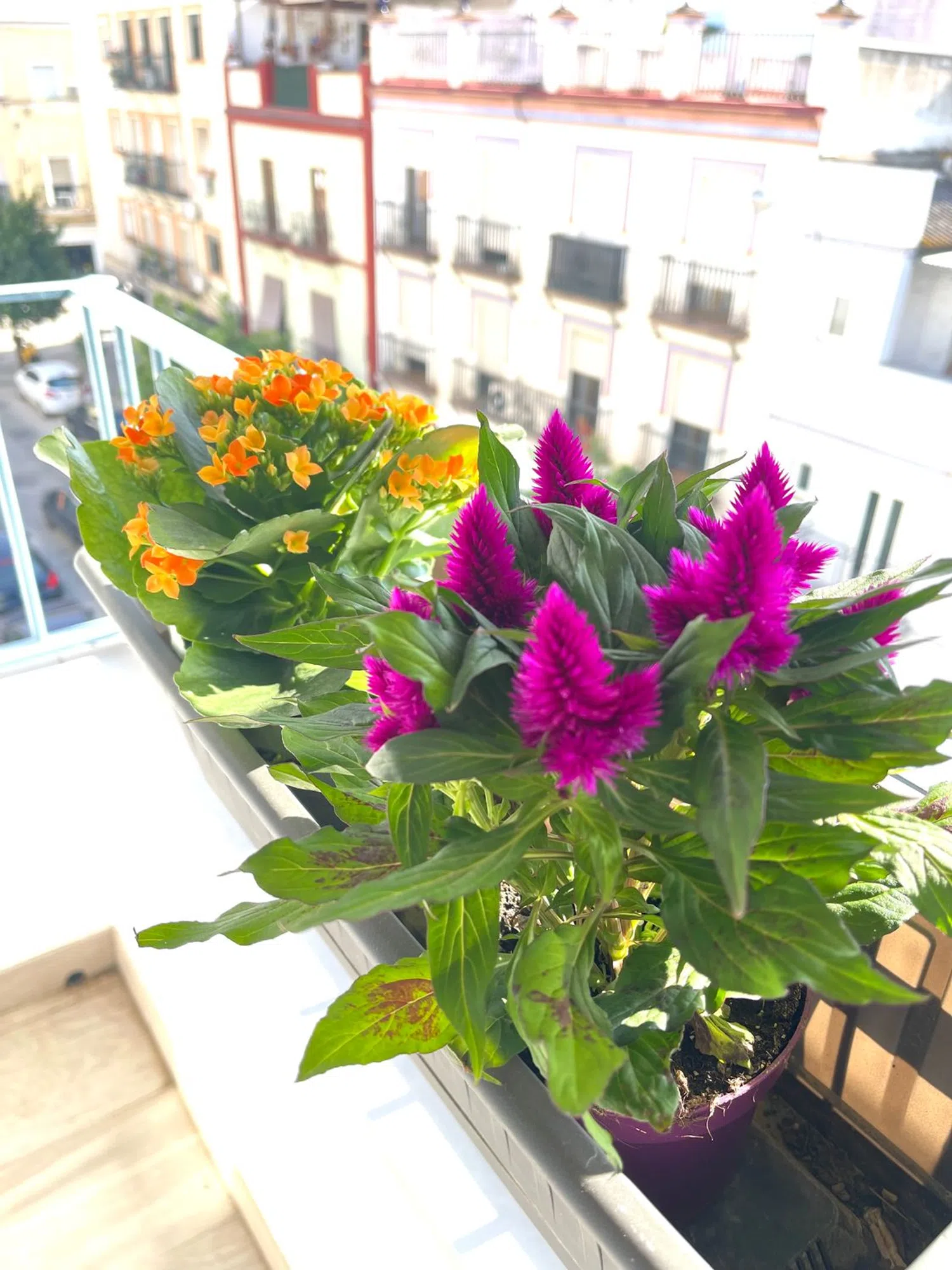 Piso en calle Castilla, 82 - Foto 1