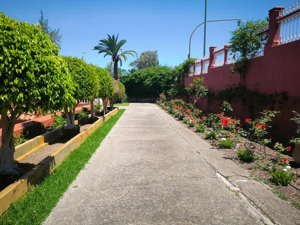 Piso en Casa del Gallo, 1 - Foto 71