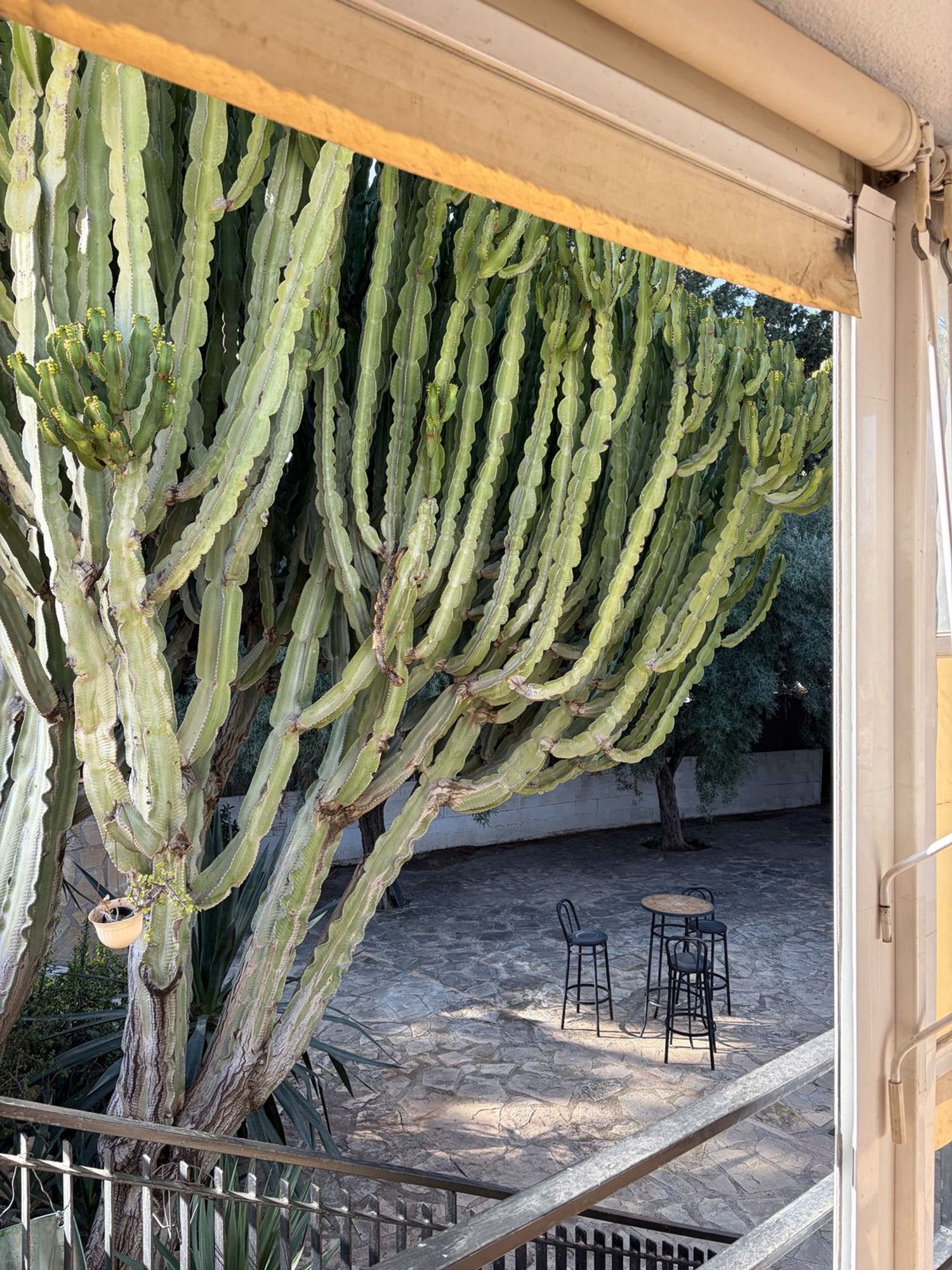 Casa independiente en Centro - Foto 18