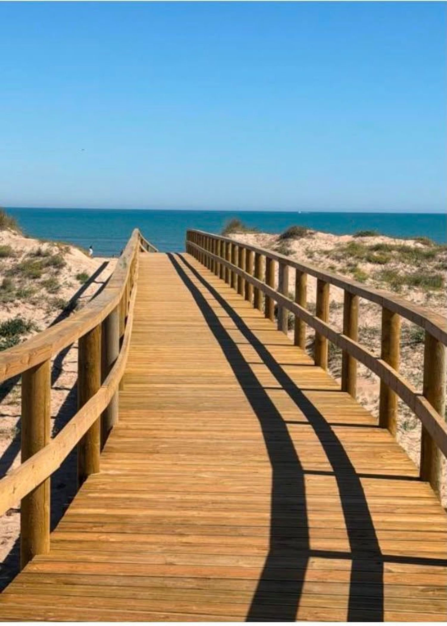 Piso en Calle de Rafelcofer, 1, Platja de Oliva, Platja de Oliva - Foto 14