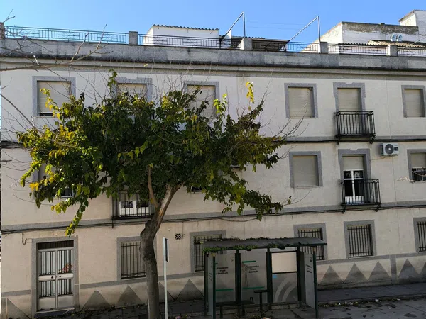 Piso en Avenida de la Constitución, 50 - Foto 2