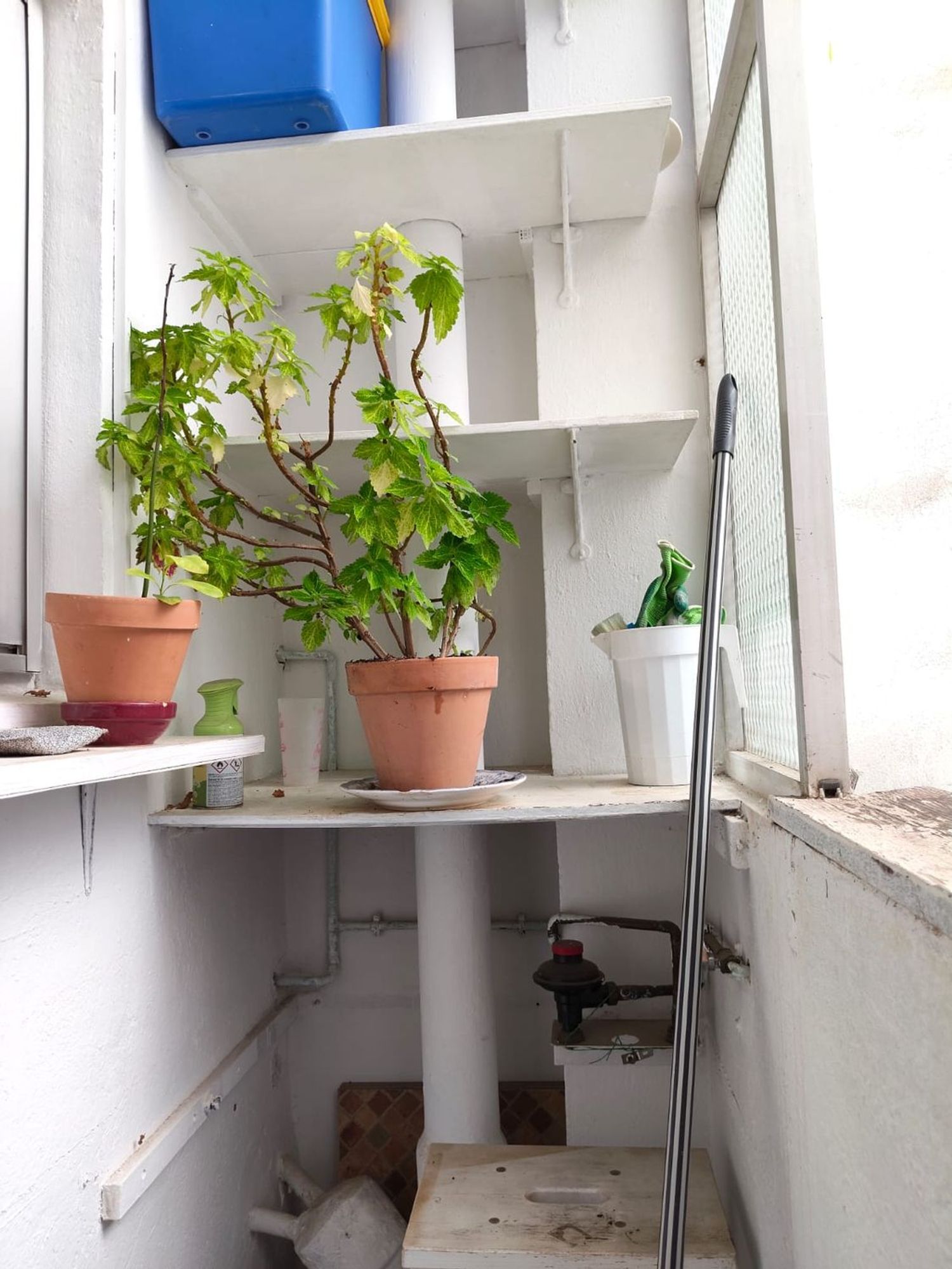 Piso en Brasil, 77 - Foto 12